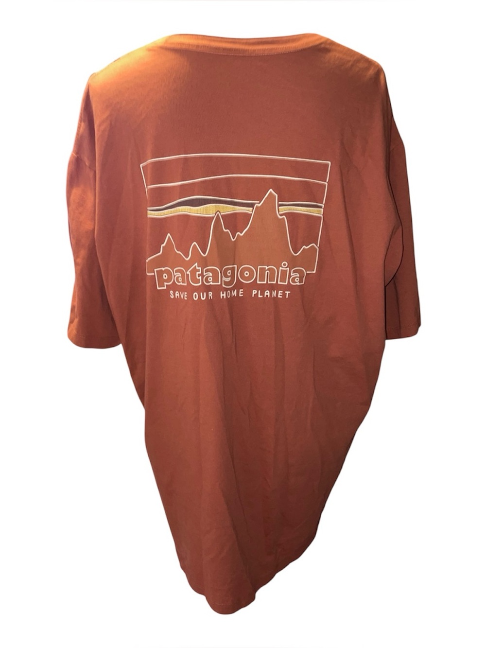 NWOT men’s Patagonia 73 skyline organic t shirt